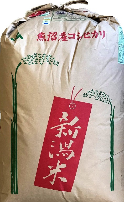 �싛�������Ђ���