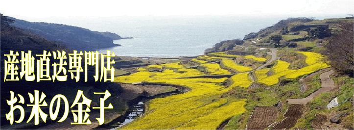 �l��Y�̒I�c�؂̉�